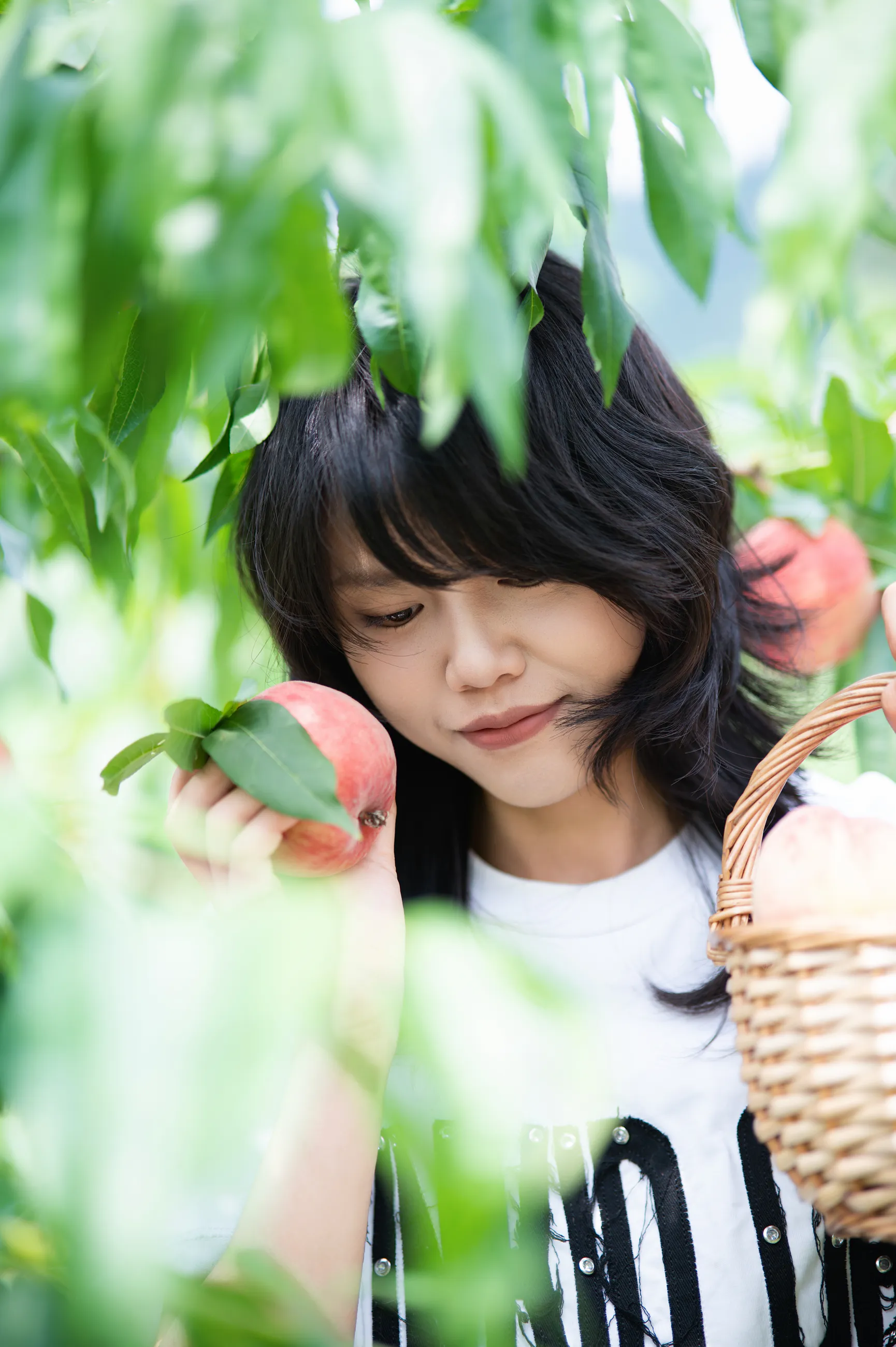 龙泉山摘桃子相册中的第 6 张照片