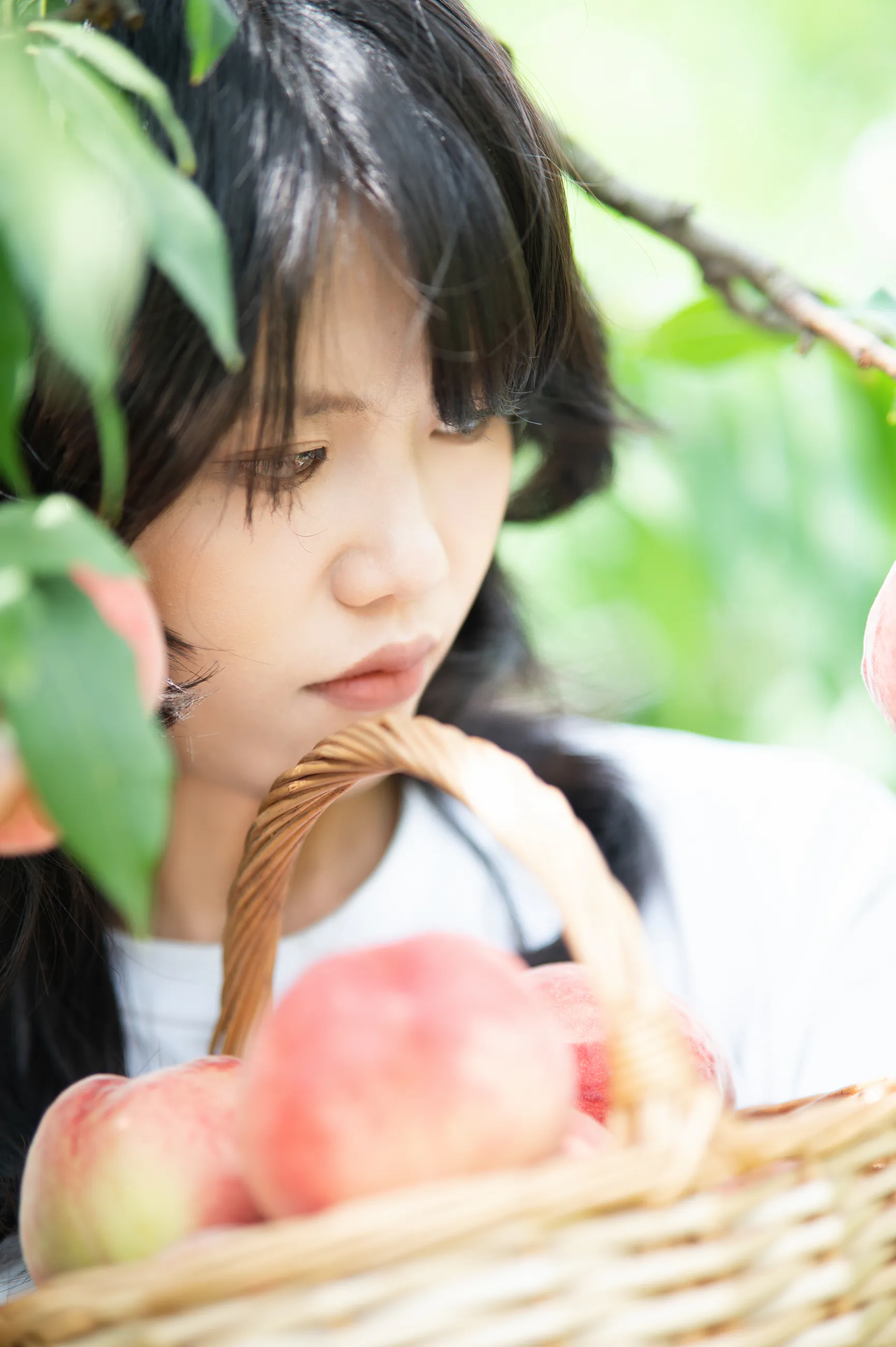 龙泉山摘桃子相册中的第 9 张照片