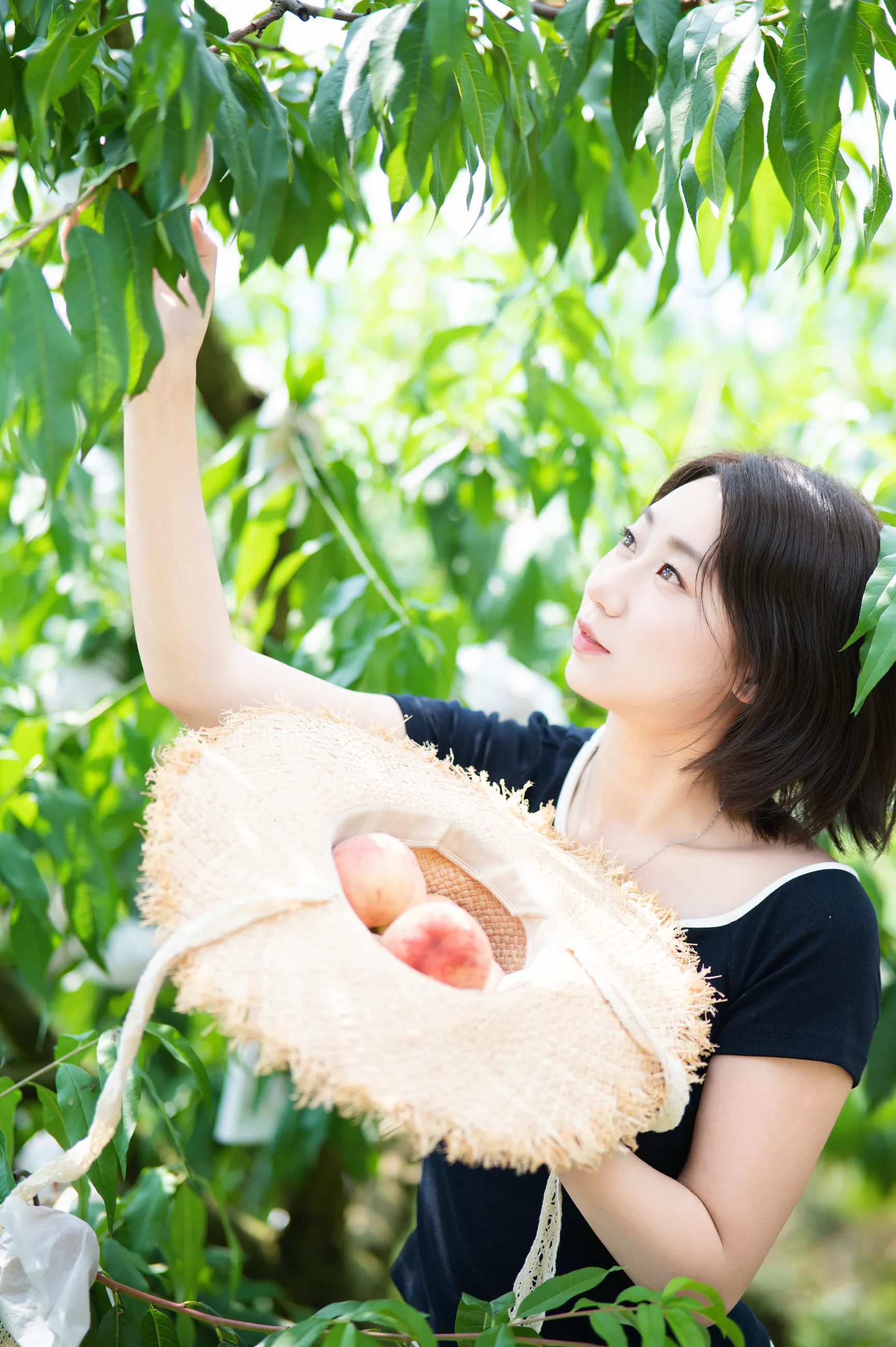 龙泉山摘桃子相册中的第 18 张照片
