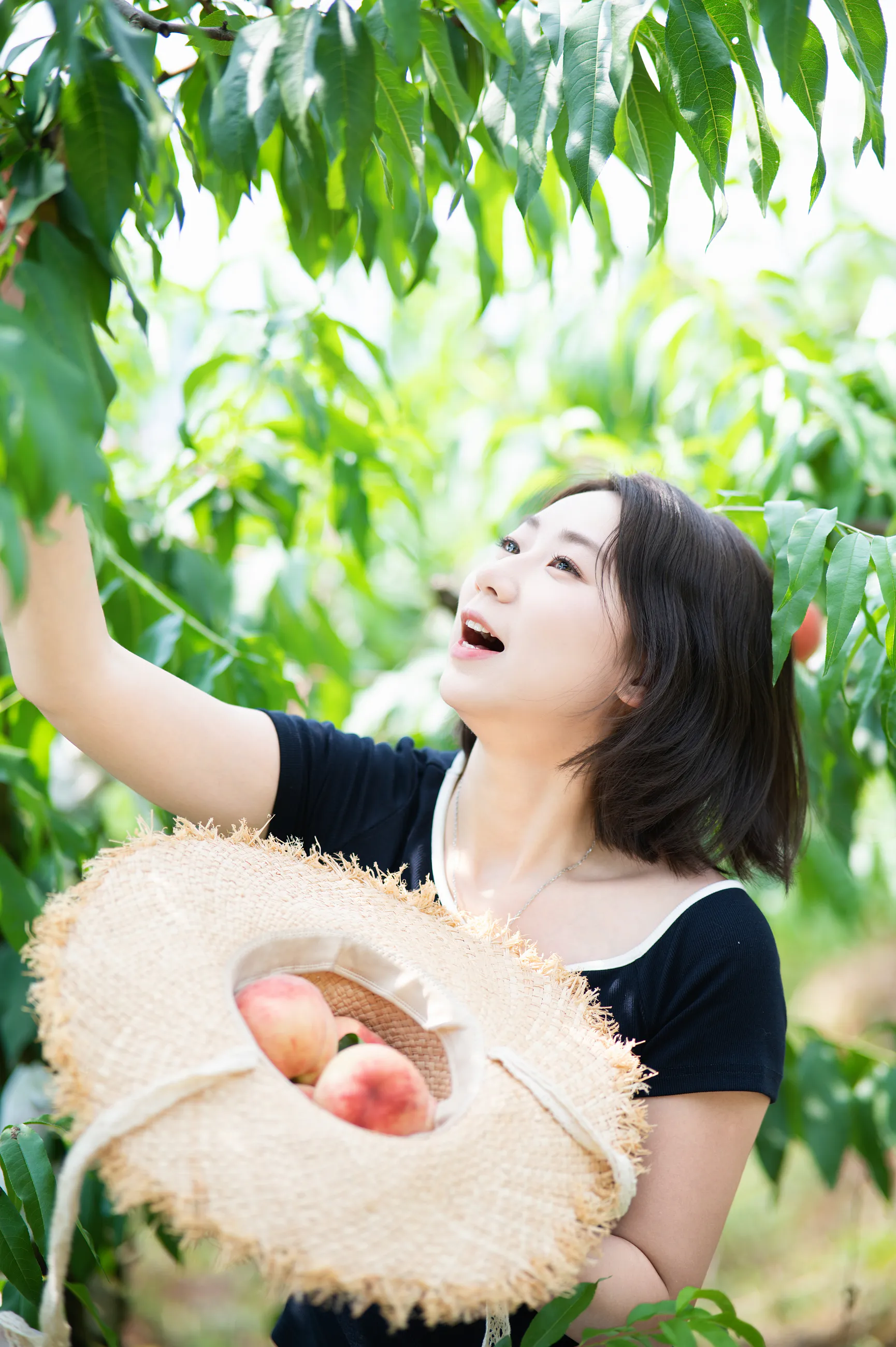 龙泉山摘桃子相册中的第 19 张照片