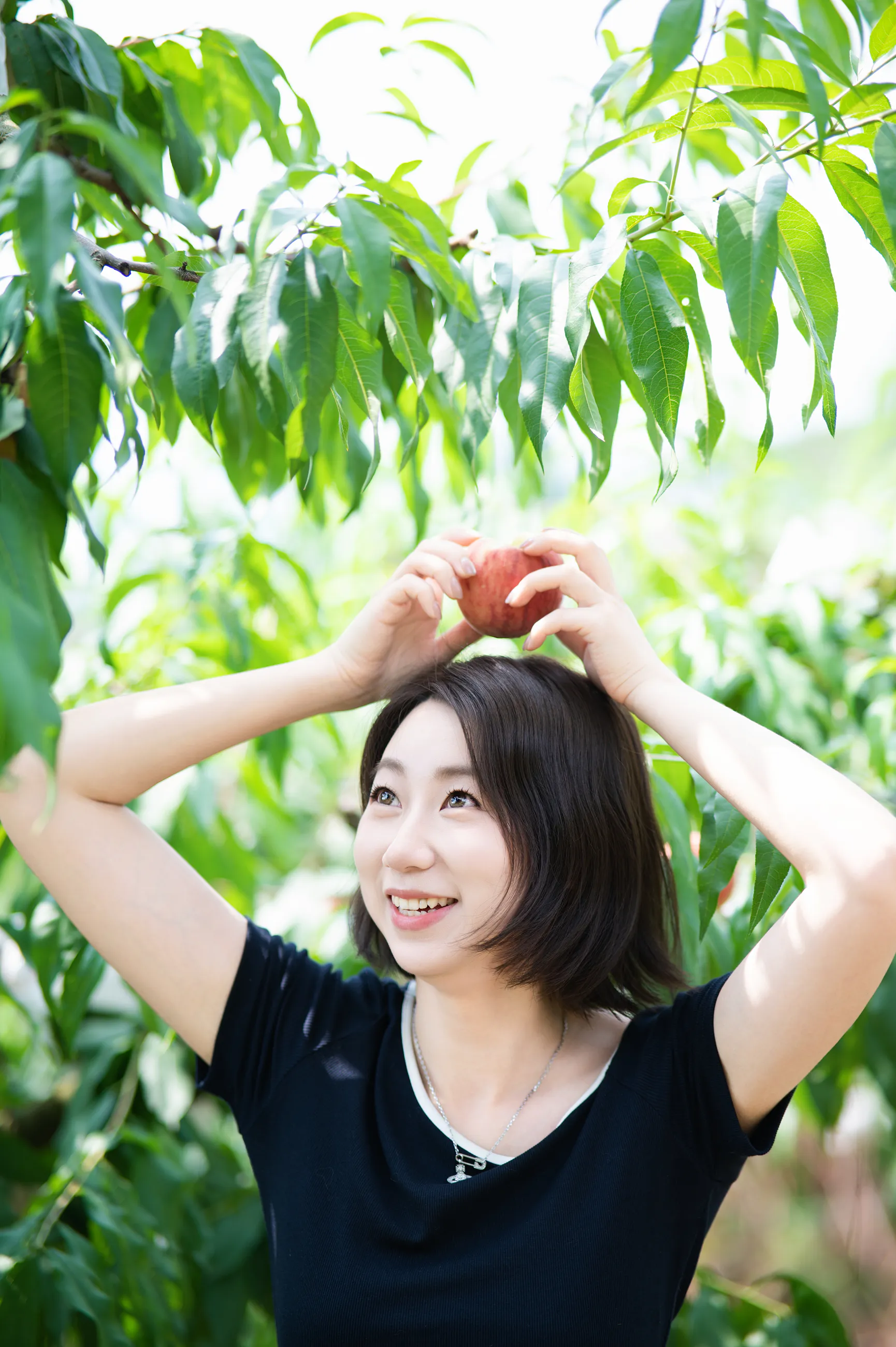 龙泉山摘桃子相册中的第 21 张照片