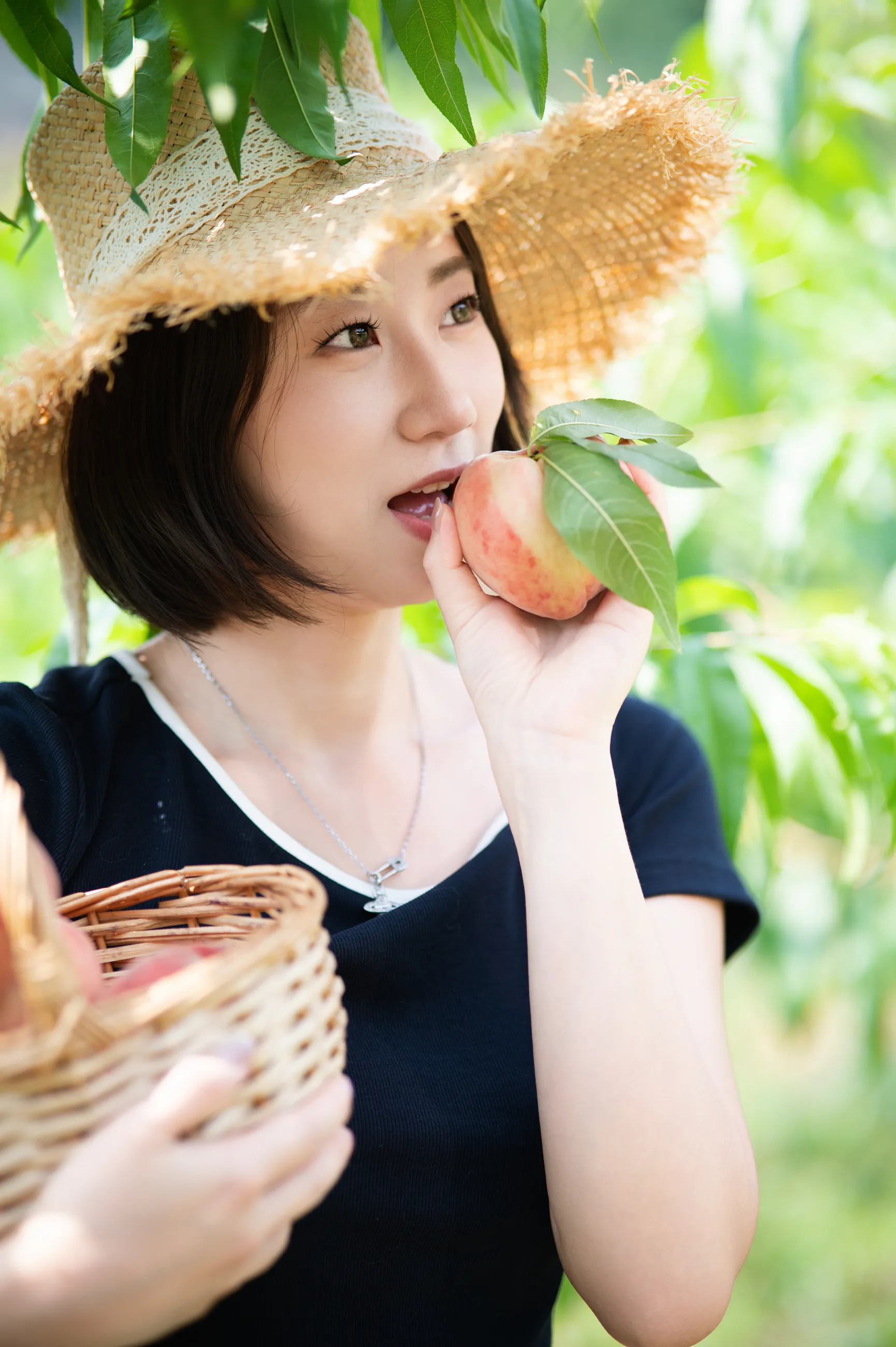 龙泉山摘桃子相册中的第 30 张照片