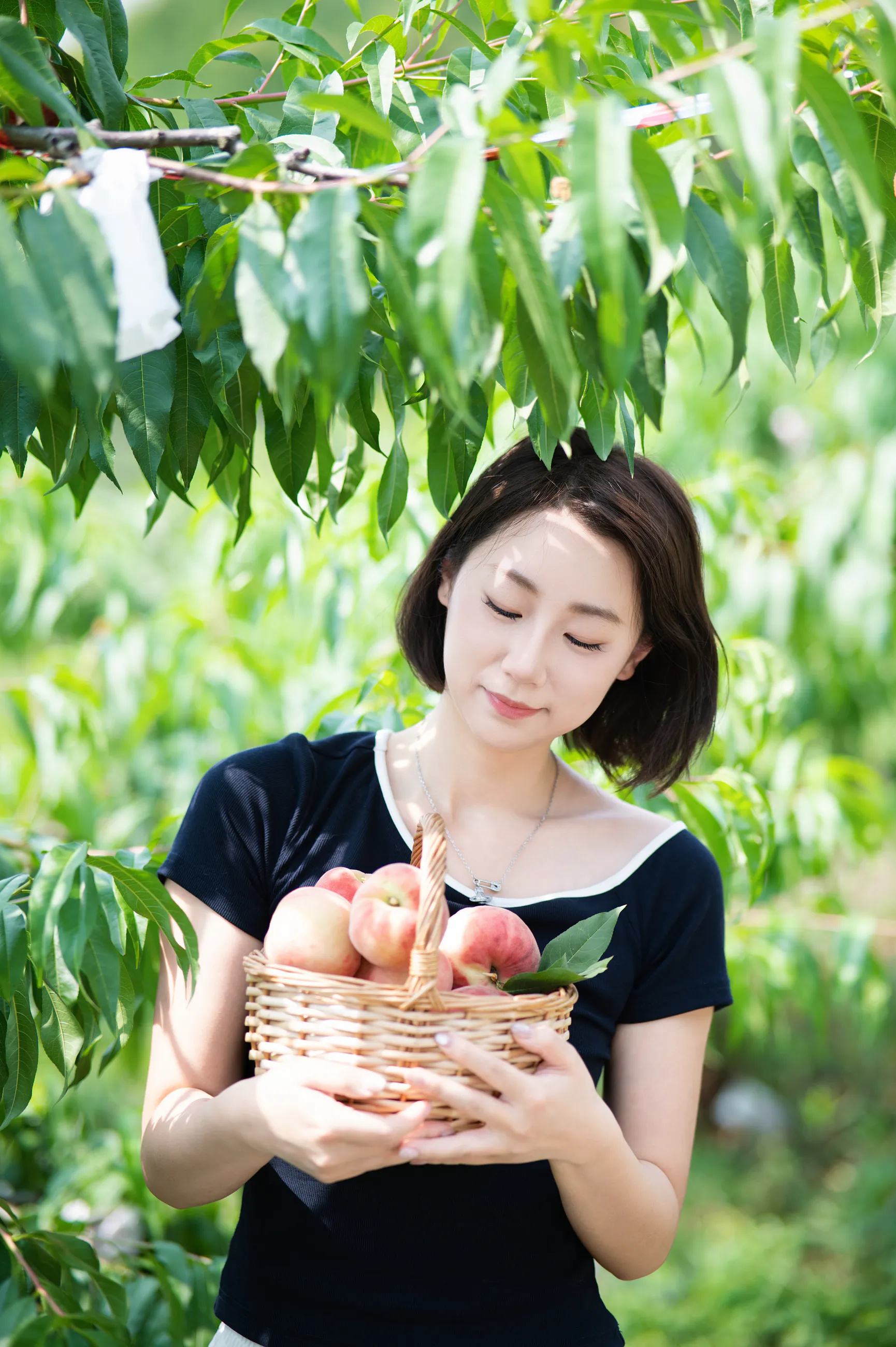 龙泉山摘桃子相册中的第 31 张照片