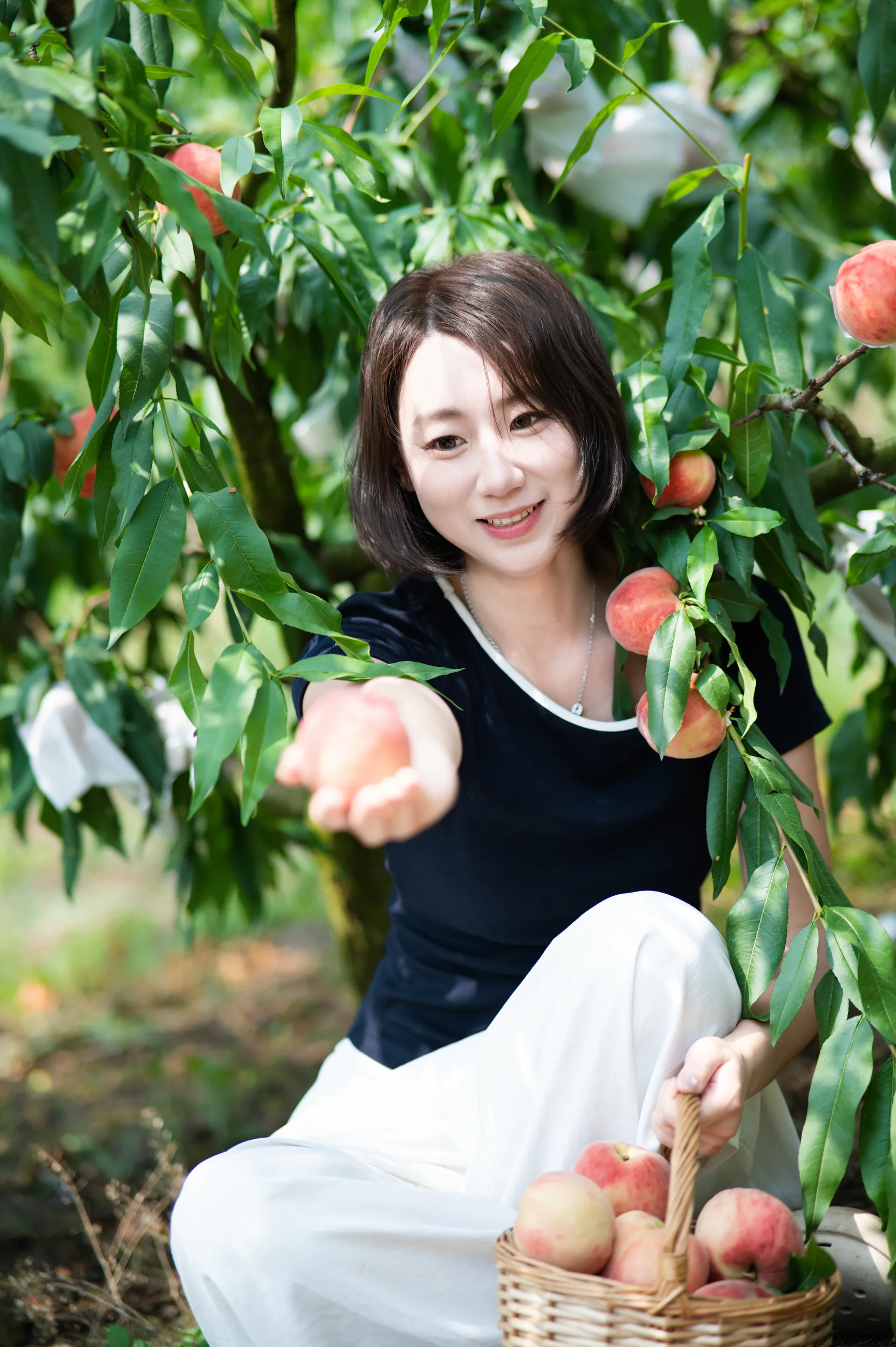 龙泉山摘桃子相册中的第 33 张照片