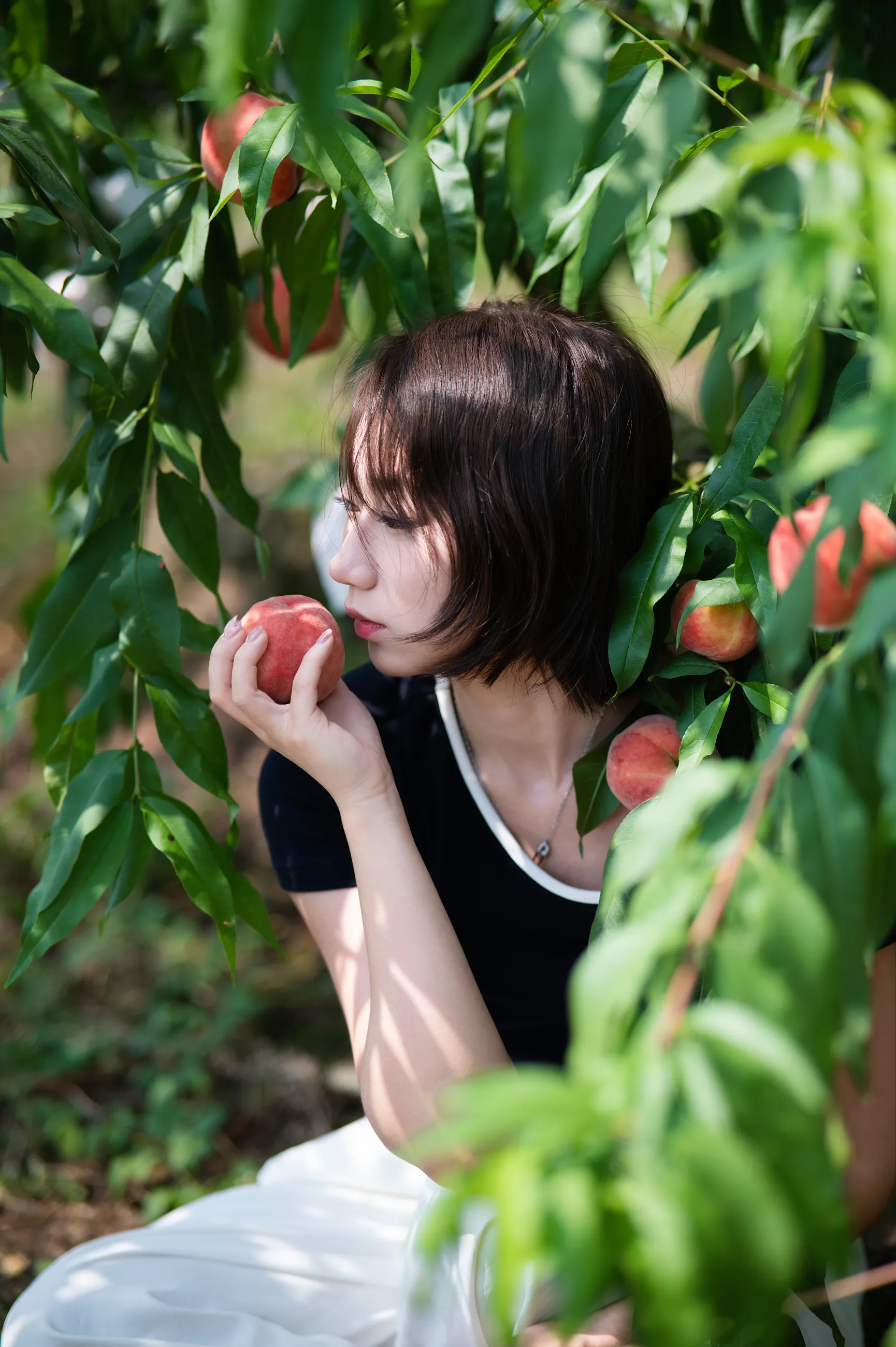 龙泉山摘桃子相册中的第 35 张照片