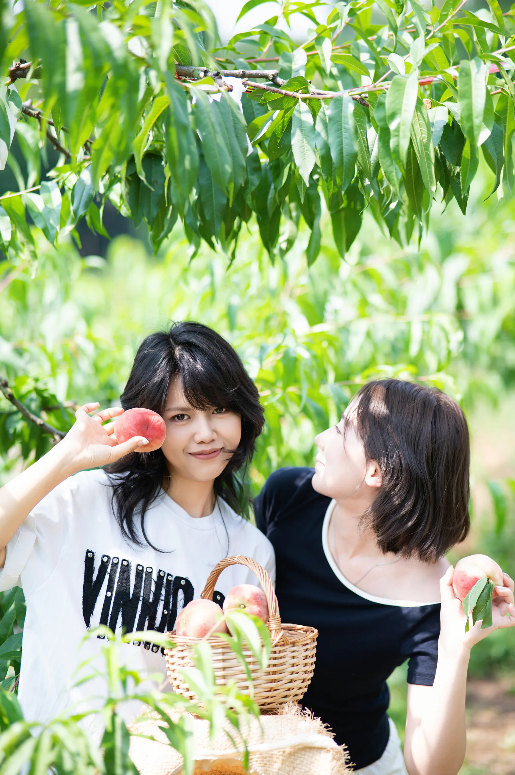 龙泉山摘桃子相册中的第 38 张照片
