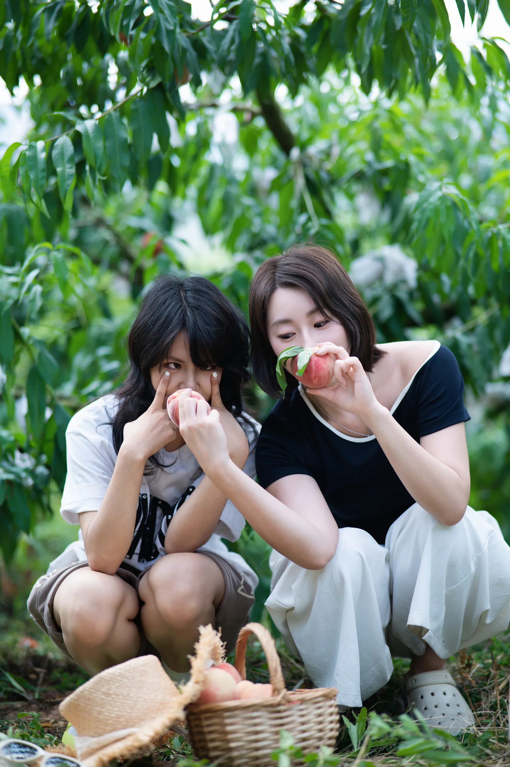 龙泉山摘桃子相册中的第 50 张照片